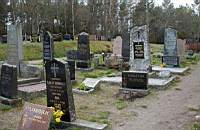 P5030052.jpg